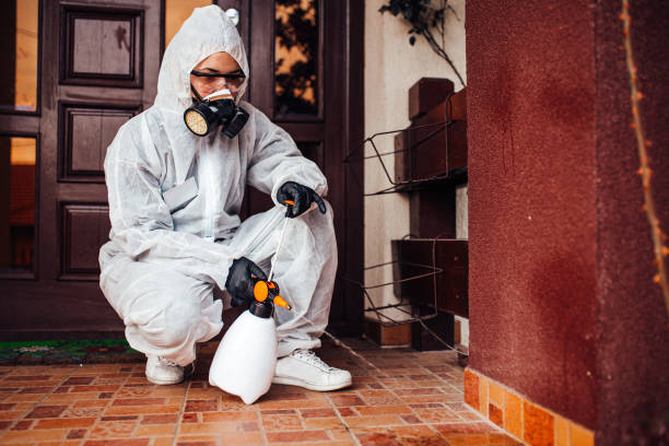Reliable Wasp Removal contractor in Abbeville, SC by Show Me Pest Control
